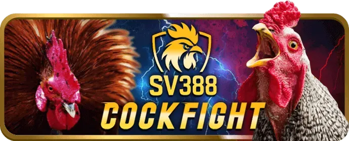 Chơi na99 nhà cái trên PC